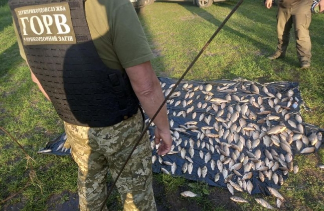 Наловили більш ніж на півмільйона гривень: на Житомирщині в межах заповідника «Древлянський» виявлено двох браконьєрів