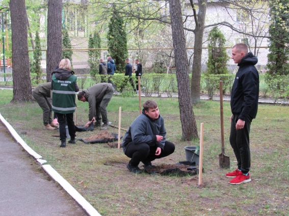 На Малинщині в рамках акції «Шевченко єднає Україну» висадили алею Незламності і Пам’яті