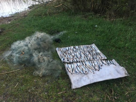 На Іршанському водосховищі затримали двох чоловіків, які ловили рибу сітками