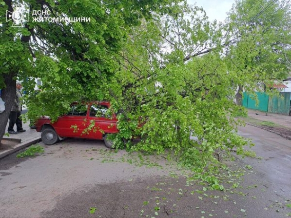 На Житомирщині впродовж доби рятувальники двічі прибирали аварійні дерева