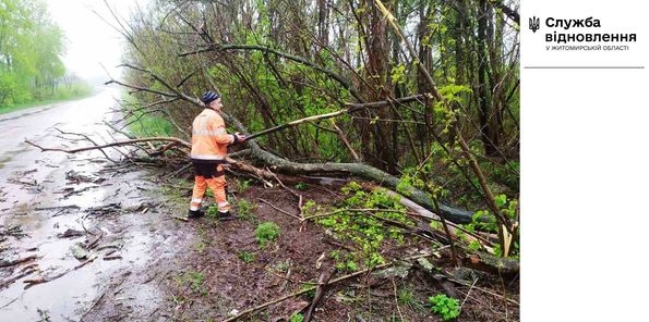 Минулої доби на Житомирщині після поривів вітру та «жовтого дощу» дорожники працювали над безпечним проїздом
