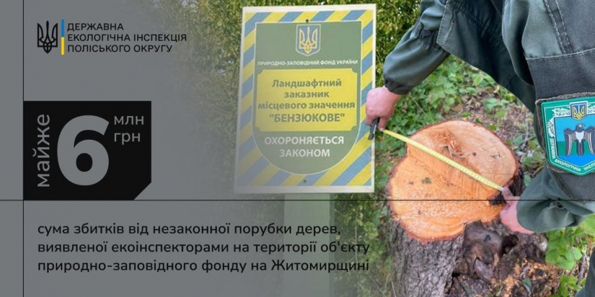 На території об'єкта природно-заповідного фонду в Коростенському районі було виявлено незаконну порубку дерев на суму майже 6 млн грн
