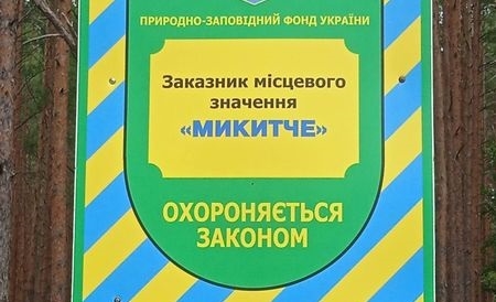 На Коростенщині у заказнику «Микитче» встановлено факт незаконної порубки дерев на понад 200 тис. грн.