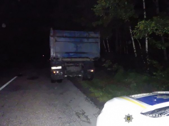 На Звягельщині водій вантажівки намагався відкупитися від поліцейських, бо перевозив деревину без документів