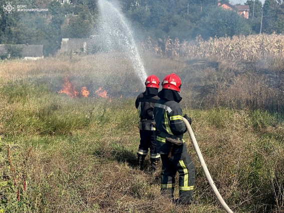 На Житомирщині за минулу добу рятувальники ліквідували 11 загорянь сухої трави