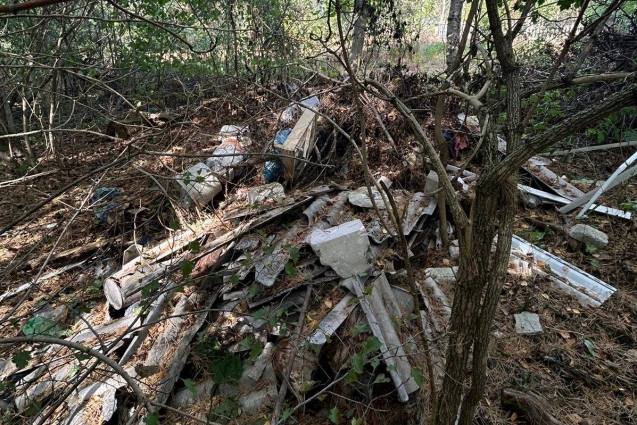 У Житомирській області з початку року виявлено 863 несанкціонованих сміттєзвалища, з них 829 – ліквідовано