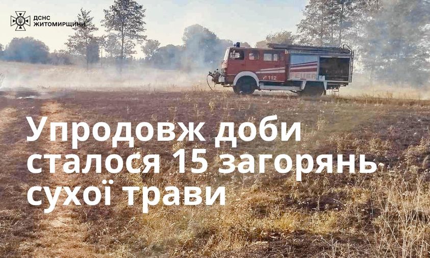 На Житомирщині за минулу добу сталося 15 пожеж сухої трави
