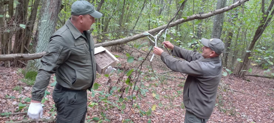 У 5 районах Житомирщини провели пероральну вакцинацію диких тварин, оброблено 83% від запланованих площ на території області