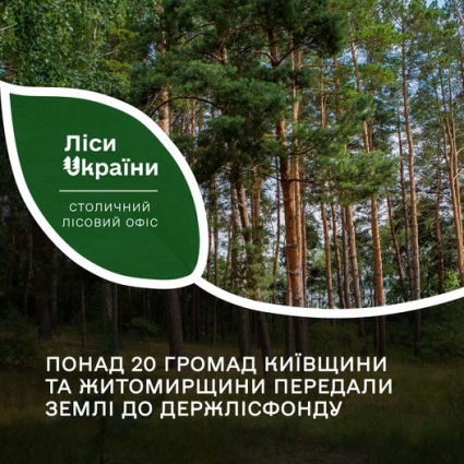 Громади двох областей приєдналися до проєкту Forest Recovery та передали до державного лісового фонду майже 5400 га лісу