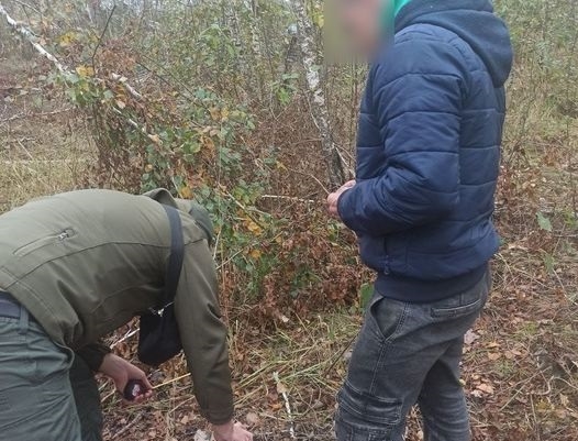 У Новогуйвинській ТГ зафіксовано порубку сосен: збитки завдані природі склали 8 тис. грн