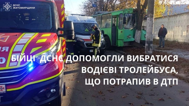 У Житомирі на вулиці Вітрука водій тролейбуса зіткнувся з деревом