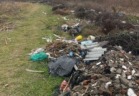 На Звягельщині екоінспекцією виявлено три стихійні сміттєзвалища