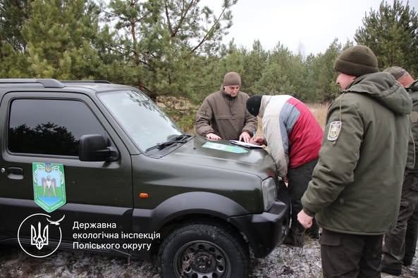 Майже 800 грн збитків через незаконну порубку ялинки має відшкодувати порушник на Малинщині