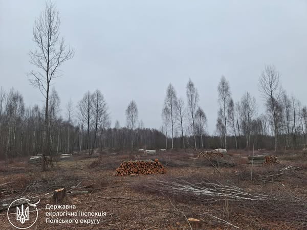 Екоінспекцією виявлено порубку на території Барашівської громади площею 35 га