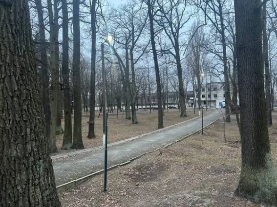 Центральний парк Малина засяє новими вогнями