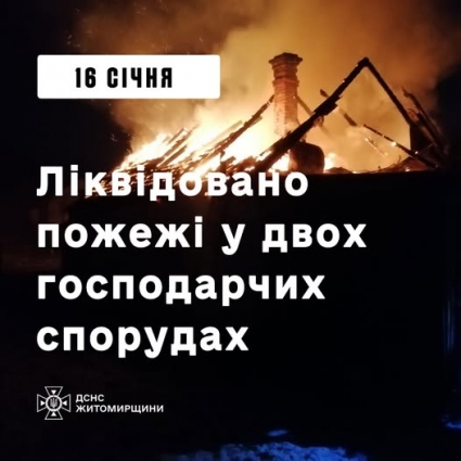 У Житомирському районі рятувальники ліквідували дві пожежі в господарчих будівлях