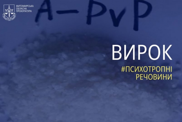 До 10 та 6 років ув’язнено двох наркокур’єрів, які робили закладки психотропної речовини PVP у парку Бердичева