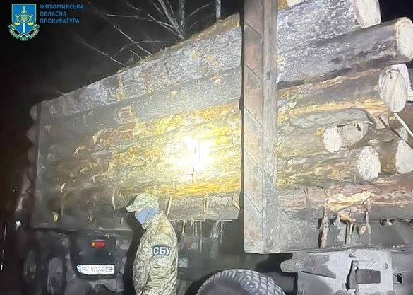 Незаконні порубки на 750 тис грн у лісгоспі Житомирщини – судитимуть учасників організованого злочинного угруповання