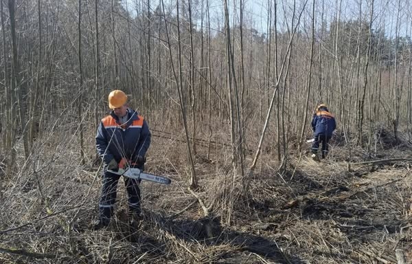 На Житомирщині працівники обленерго здійснює роботи з обрізки дерев та гілок біля ліній електропередачі 0,4 та 10 кВ