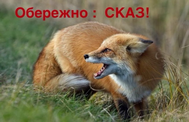 На Житомирщині проводять кампанію з імунізації диких тварин від сказу, з початку року зареєстровано 2 випадки хвороби домашніх улюбленців