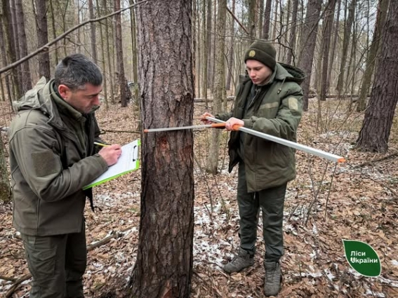 Коростенське надлісництво у січні виконало план з реалізації на 110%