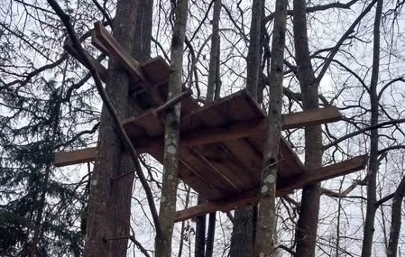 Екоінспекцією на Житомирщині виявлено браконьєрські засідки та інші порушення правил полювання
