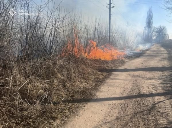 За минулу добу рятувальники Житомирщини ліквідували 48 пожеж, 32 з яких виникло в екосистемах