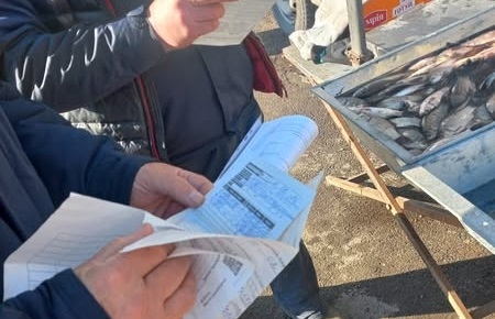 Екоінспектори перевіряють законність реалізації живої риби на ринках Житомира: що виявили та яка відповідальність за незаконний продаж