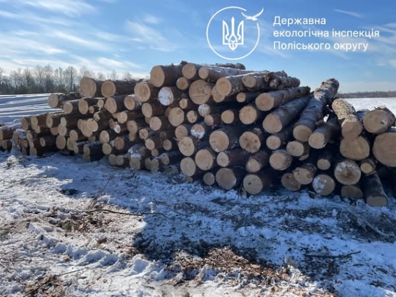 У Звягельському районі виявлено факти порушень вивезення деревини