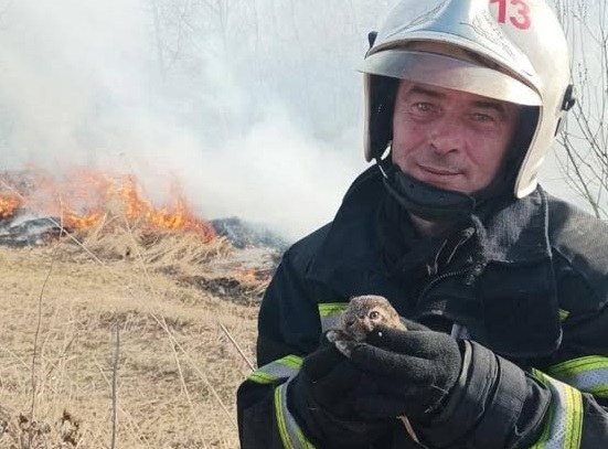 На Житомирщині з початку року 200 тис. грн. штрафів сплатили палії сухої трави