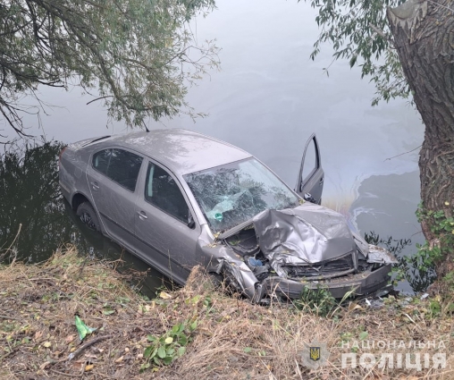 У Ружинській громаді автівка злетіла з дороги та потрапила у водойму: травми отримали троє людей, серед них 2-річна дитина