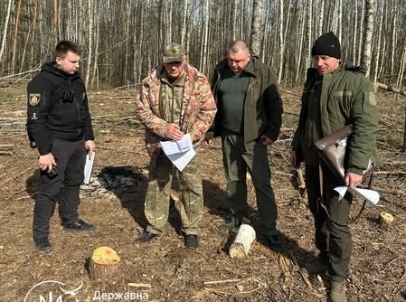 Екоінспекція виявила незаконну порубку дерев в Звягельському районі на понад 500 тис. грн