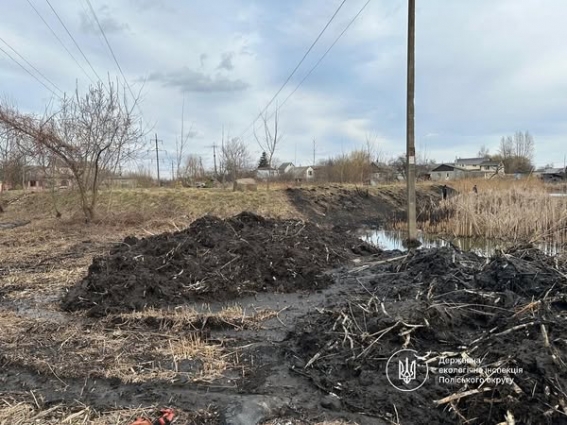 В прибережено-захисній смузі річки Крошенка зафіксовано факт проведення незаконних земляних робіт та виявлено порубку 12 верб