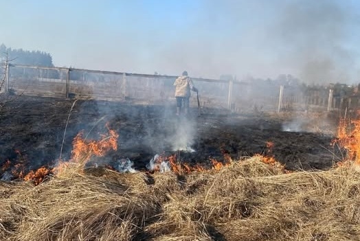 Громадським інспектором з охорони довкілля виявлено факт спалювання сухої рослинності на Житомирщині