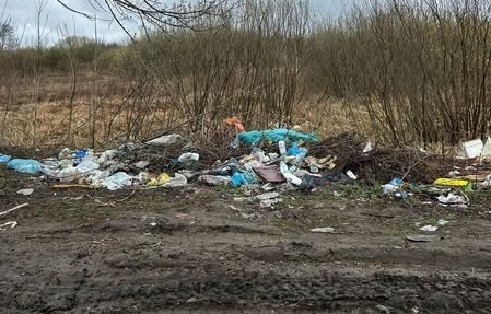 Екоінспекцією виявлено стихійні сміттєзвалища по вулиці Дмитра Донцова та Андріївській у Житомирі