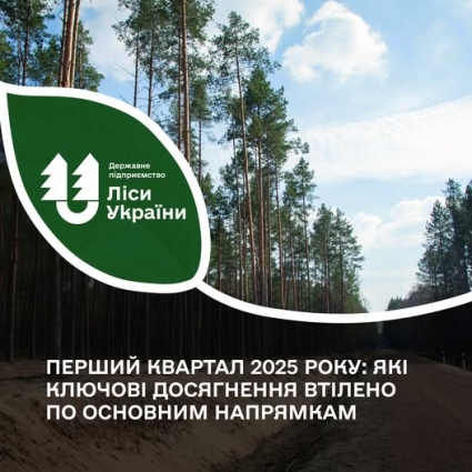 Перший квартал 2025 року: Житомирщина поставила для військових понад 2 тис. м. кв. деревини