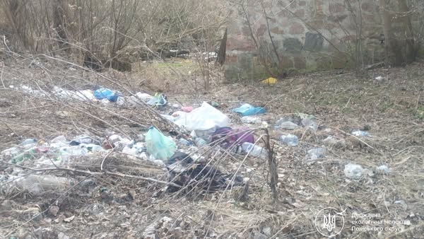 Екоінспекцією в Ружинській громаді виявлено п’ять стихійних сміттєзвалищ