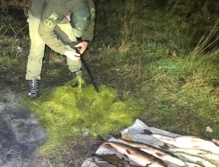 Під час рейдів на водоймах Житомирської області інспектори рибоохоронного патруля нарахували понад 260 тис. грн збитків та зафіксували 17 порушень