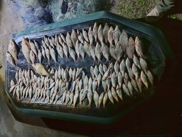 В Житомирі викрито грубе порушення правил рибальства зі збитками понад 220 тисяч гривень