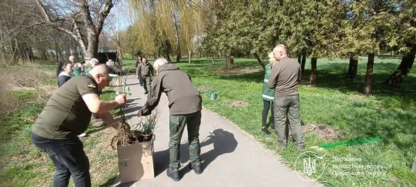 У Шодуарівському парку Житомира висадили сажанці, вирощені із жолудів правічних дубів, що росли ще за життя Тараса Шевченка