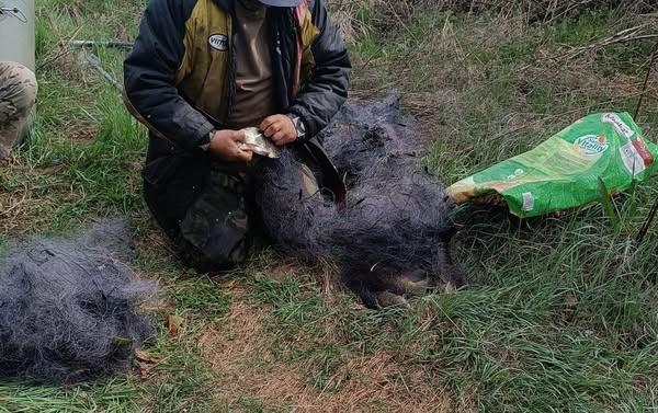 На Житомирщині в зоні відчуження виявлено браконьєра, який сітками ловив рибу