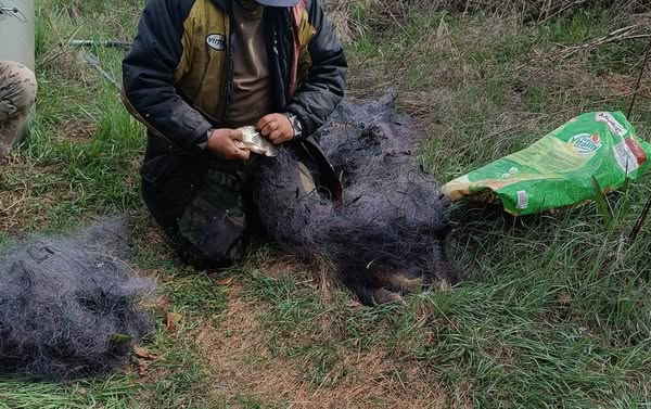 На Житомирщині в зоні відчуження виявлено браконьєра, який сітками ловив рибу