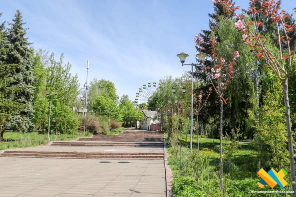 У Житомирі в парку висадили алею сакур