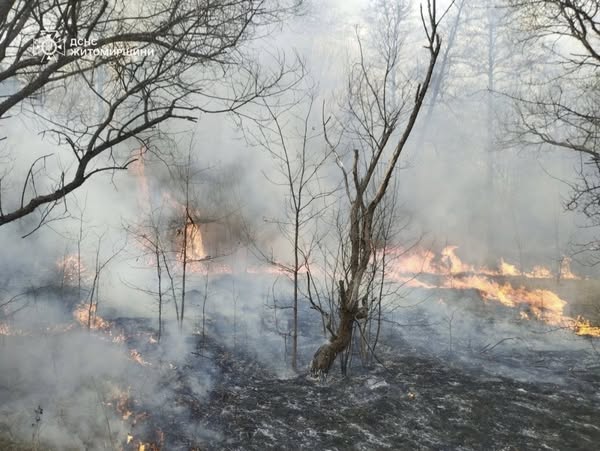 На Житомирщині минулої доби ліквідовано 5 загорянь сухої трави