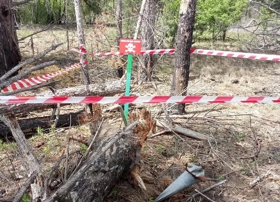 У заповіднику «Древлянський» тривають роботи з пошуку та знешкодження вибухонебезпечних предметів