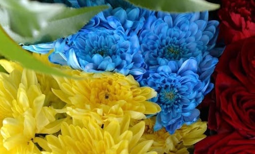 У Житомирі попрощались із військовим Олексієм Чеченком, чоловіку назавжди 45