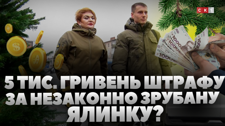 У Житомирі  перевіряють ялинкові ярмарки: які штрафи загрожують за незаконну торгівлю (ВІДЕО)