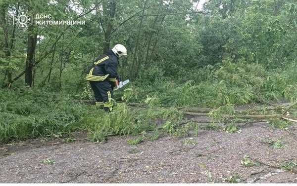 Минулої доби надзвичайники ліквідовували наслідки негоди, що вирувала на території Житомирщини