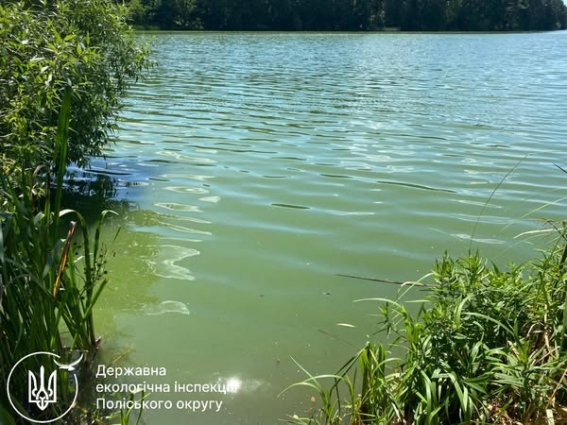 Екоінспекція перевірила річку Тетерів у місті Житомир на факт забруднення
