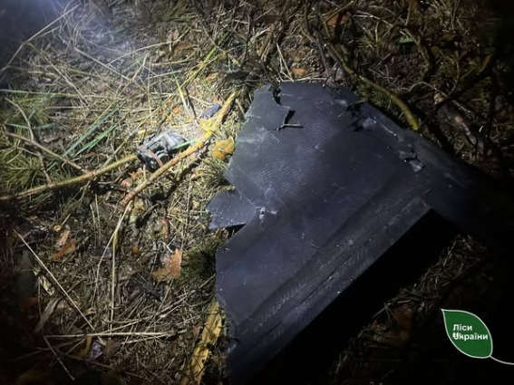 Лісництва на Житомирщині й Київщині потрапили в зону ураження під час нічної атаки дронів